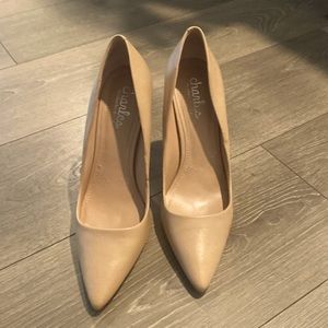 Beige Pointed Toe Pump